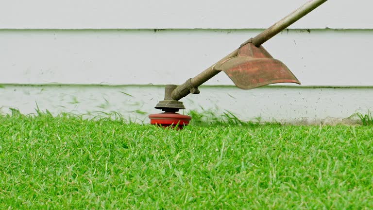 Best Hedge Trimming  in Sappington, MO